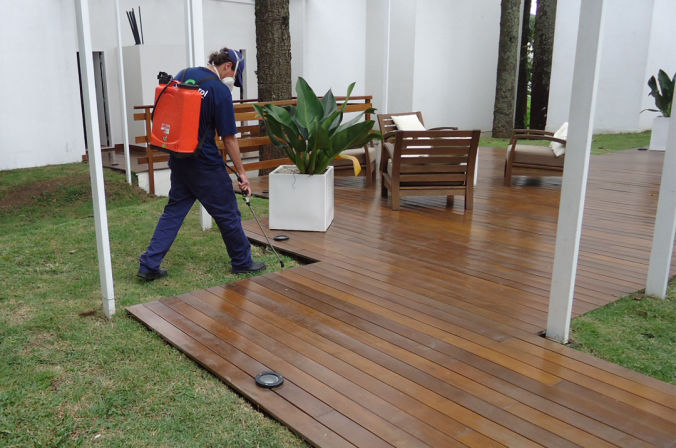 Dedetização em Condominio na Zona Leste